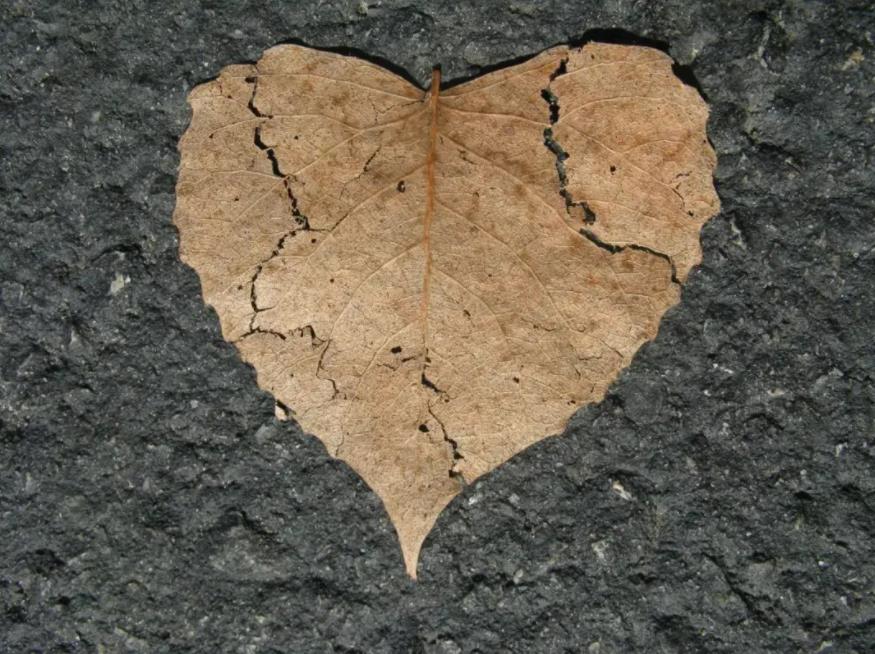 离婚案件一方有过错的赔偿标准，上海诉讼离婚律师在线咨询